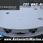 2026 Stingray