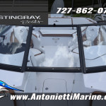 2026 Stingray