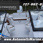 2026 Stingray