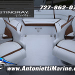2026 Stingray