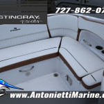 2026 Stingray