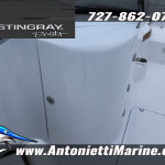 2026 Stingray
