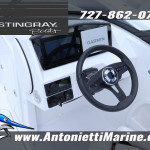 2026 Stingray