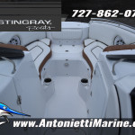 2026 Stingray