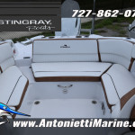 2026 Stingray