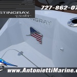 2026 Stingray