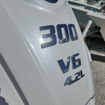 2026 Sea Pro