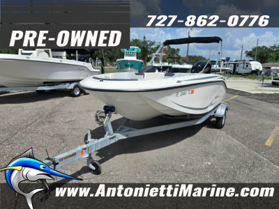 2022 Bayliner M17