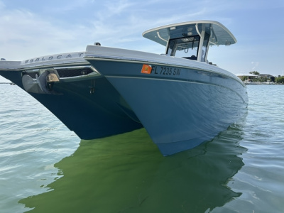 2020 World Cat 280 CCX