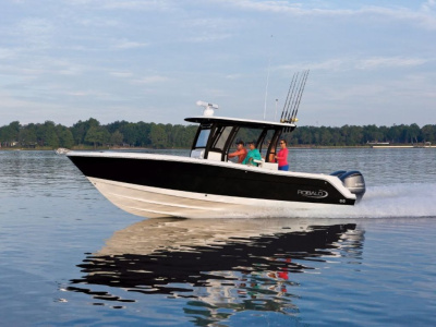 2017 Robalo R302