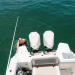 2026 Boston Whaler