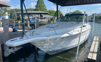 1993 Sea Ray Sundancer 330