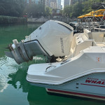 2025 Boston Whaler