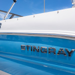 2026 Stingray