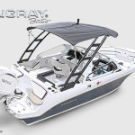 2027 Stingray