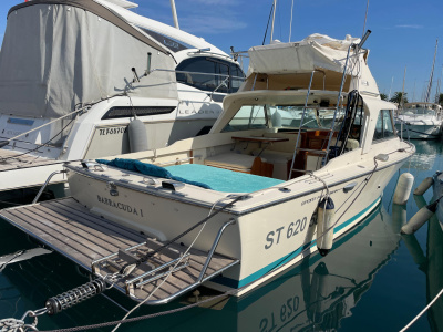 1976 Riva Betram Sport Fish 25