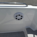 2027 Stingray