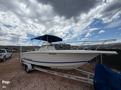 1996 Wellcraft 238CCF