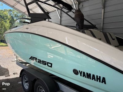 2024 Yamaha AR250