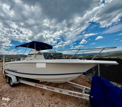 1996 Wellcraft 238CCF