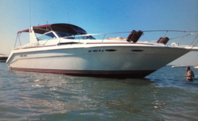 1990 Sea Ray Sundancer 350