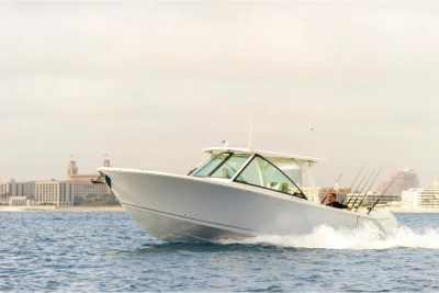 2026 Sailfish 316 DC