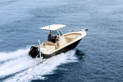 2025 Scout 251 XSS