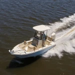 2025 Scout