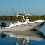 2025 Bayliner