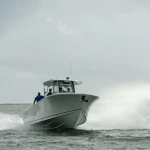 2026 Sailfish