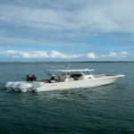2026 Sailfish