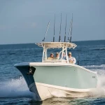 2026 Sailfish