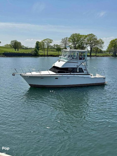 1987 Bertram 38 MKIII