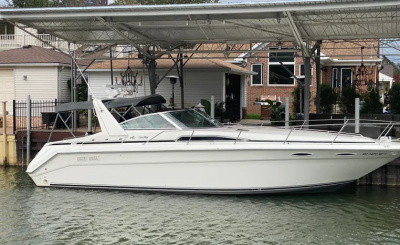 1990 Sea Ray Sundancer 350