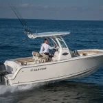 2026 Sailfish