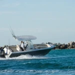 2026 Sailfish