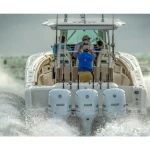 2026 Sailfish