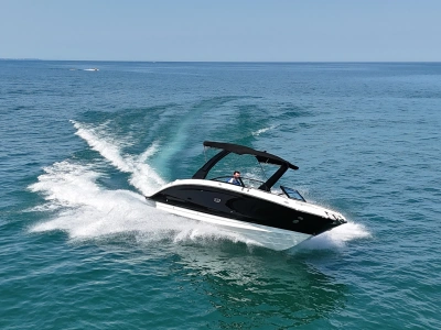 2026 Sea Ray SDX 290