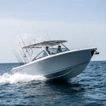 2026 Sailfish