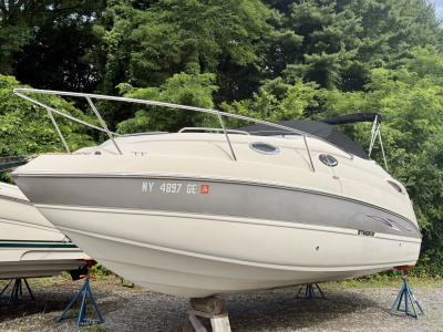 2010 Stingray 250CS