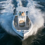 2026 Sailfish