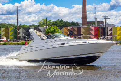 1998 Cruisers 2870 Rogue