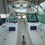2026 Cobia