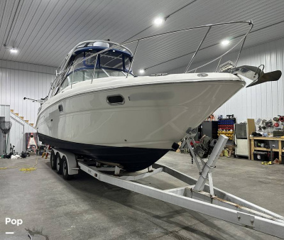 2008 Sea Ray 290 Amberjack