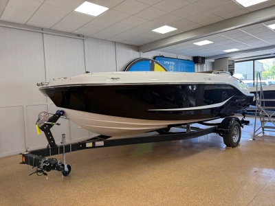 2025 Bayliner D20