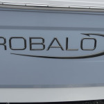 2025 Robalo