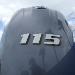 2025 Robalo