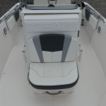 2025 Robalo