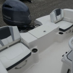 2025 Robalo