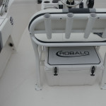 2025 Robalo